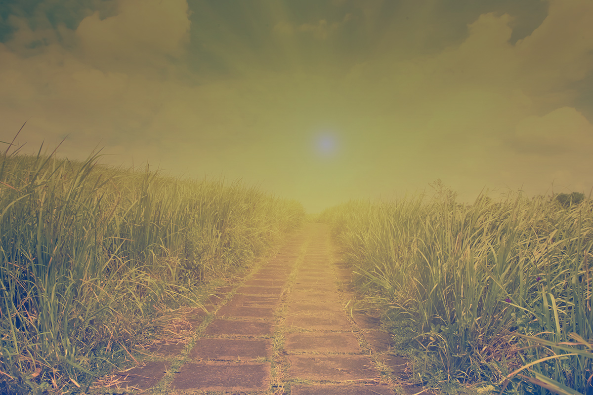 pathway